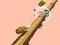 لعبة Spiral Rush على الانترنت