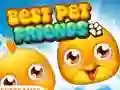 لعبة Best Pet Friends على الانترنت