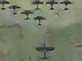 لعبة Wings Of Glory على الانترنت