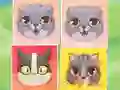 لعبة Kitten Match على الانترنت