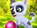 لعبة Happy Dog على الانترنت