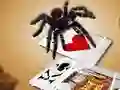 لعبة Jumping Spider على الانترنت