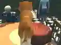 لعبة Dog Simulator: Puppy Craft على الانترنت