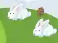 لعبة Crazy Eggs على الانترنت