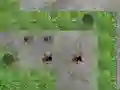 لعبة Spider Tower Defence على الانترنت