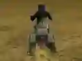 لعبة Real Moto Stunts Challenge على الانترنت