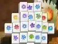 لعبة Spring Flower على الانترنت