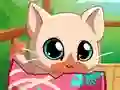 لعبة My Pocket Pets Kitty Cat على الانترنت