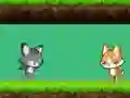 لعبة Cat vs Dog على الانترنت