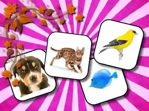 لعبة Animals Memory على الانترنت