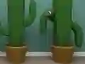 لعبة Cactus Cube على الانترنت
