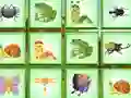 لعبة Find The Insect على الانترنت