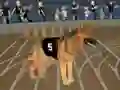 لعبة Crazy Dog Racing Fever على الانترنت