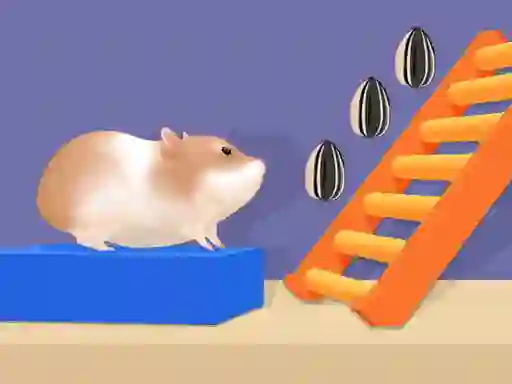 لعبة Hamster Stack Maze على الانترنت