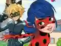 لعبة LadyBug Differences على الانترنت