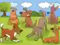 لعبة Animals Differences على الانترنت