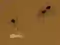 لعبة Save the crumb على الانترنت