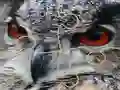 لعبة Wild owl Jigsaw على الانترنت