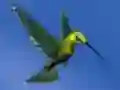 لعبة Hummingbird House Escape على الانترنت
