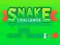 لعبة Snake Challenge على الانترنت
