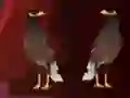 لعبة Peikin Duck Escape على الانترنت