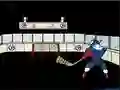 لعبة Capitaine Cage Hockey على الانترنت