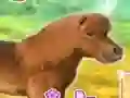 لعبة My Dear Pony على الانترنت