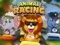 لعبة Animal Racing على الانترنت