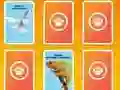 لعبة National Geographic Kids Matching على الانترنت