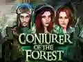 لعبة Conjurer Of The Forest على الانترنت