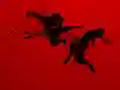لعبة Run Ninja Run على الانترنت