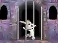 لعبة Victory Rabbit Escape على الانترنت