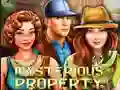 لعبة Mysterious Property على الانترنت