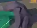 لعبة Hakaiju على الانترنت