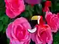 لعبة Precious Rose Escape على الانترنت