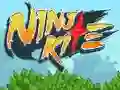 لعبة Ninja Kite على الانترنت