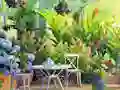 لعبة Find The Cute Pandas على الانترنت