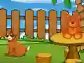 لعبة Funny Iguana Escape على الانترنت