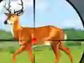 لعبة Wild Hunt Hunting Games 3D على الانترنت