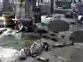 لعبة Friends Rescue From Skeleton على الانترنت
