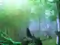 لعبة Trapped Honeybee Escape على الانترنت