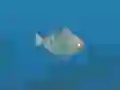 لعبة Fish Companions على الانترنت