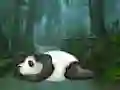 لعبة Wakeup The Sleeping Panda على الانترنت