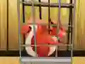 لعبة Rescue The Red Squirrel From Cage على الانترنت