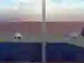لعبة Escape from the House with Turtles على الانترنت
