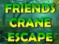 لعبة Friends Crane Escape على الانترنت