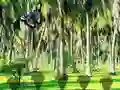 لعبة Rescue Tasmanian Tiger على الانترنت