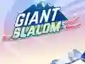 لعبة Giant Slalom على الانترنت