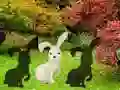 لعبة Assist The White Cock على الانترنت