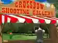 لعبة Crossbow Shooting Gallery على الانترنت